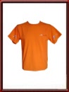 A1 GP Team Netherlands Team T- Shirt Orange