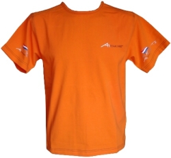 A1 GP Team Netherlands - Team T- Shirt - Orange
